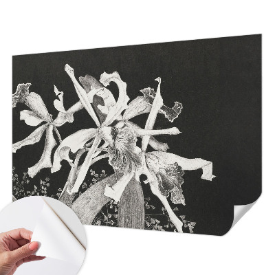 Carta da parati cameretta Illustrazione di un'orchidea