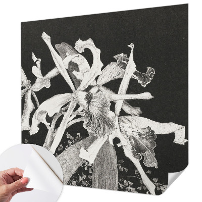 Carta da parati cameretta Illustrazione di un'orchidea