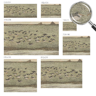 Carta da parati effetto profondità Pace degli uccelli