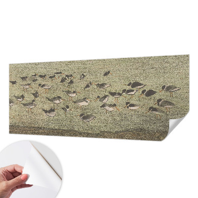 Carta da parati effetto profondità Pace degli uccelli