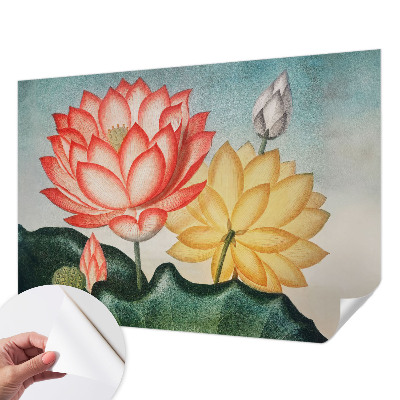 Fotomurale adesivo fiori di loto