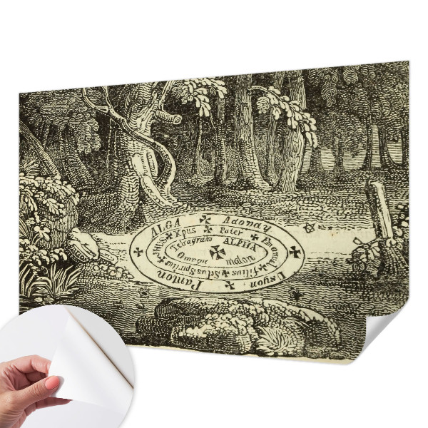 Fotomurale 3D cerchio magico