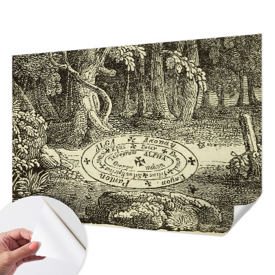 Fotomurale 3D cerchio magico