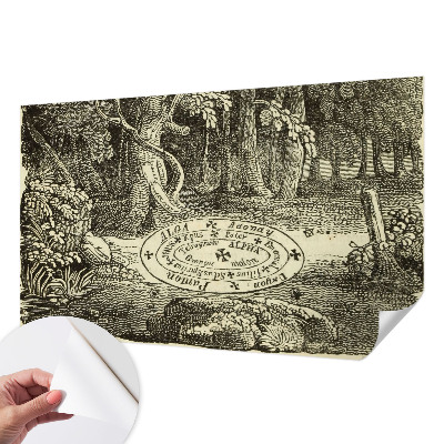 Fotomurale 3D cerchio magico