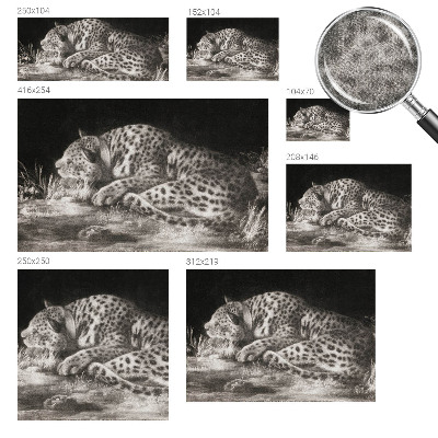 Carta da parati panoramica effetto 3D Leopardo a riposo
