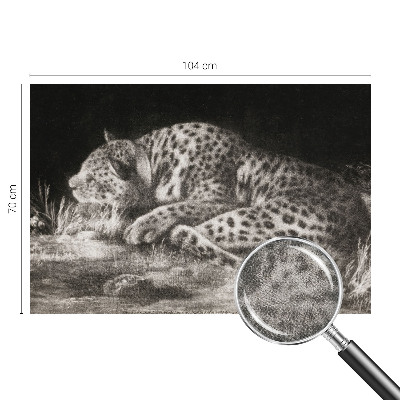Carta da parati panoramica effetto 3D Leopardo a riposo