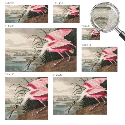 Fotomurale effetto 3D Uccello esotico