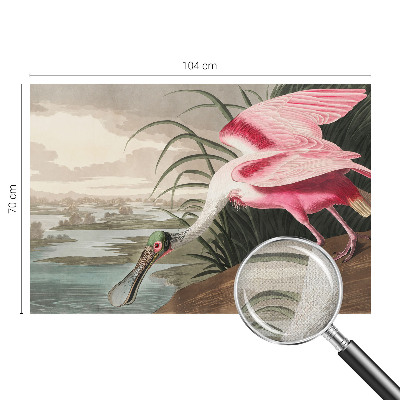 Fotomurale effetto 3D Uccello esotico