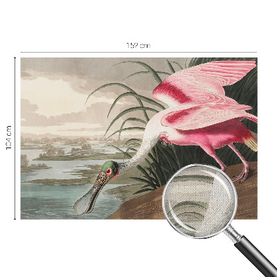 Fotomurale effetto 3D Uccello esotico