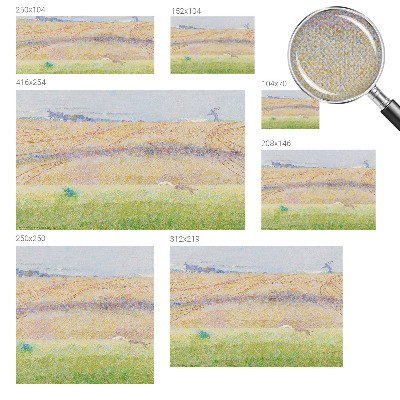 Carta da parati panoramica effetto 3D Campo estivo