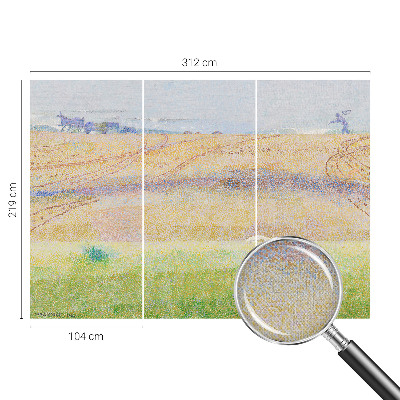 Carta da parati panoramica effetto 3D Campo estivo