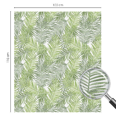 Pellicola per vetri privacy Modelli vegetali