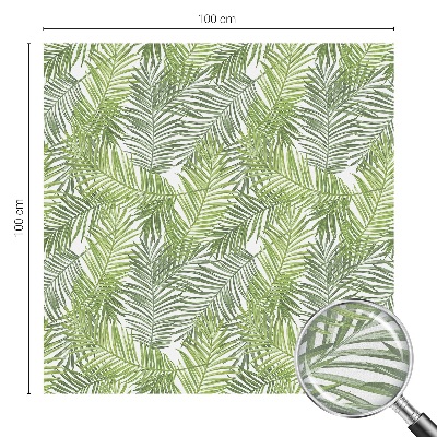 Pellicola per vetri privacy Modelli vegetali