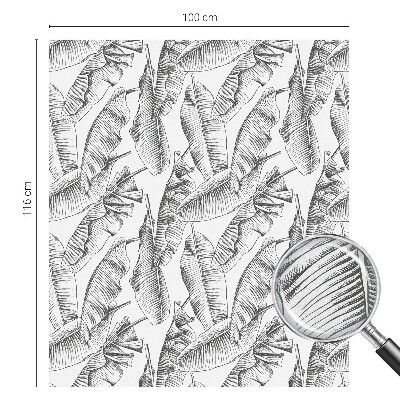Pellicola per vetri privacy Foglie tropicali