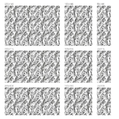 Pellicola per vetri privacy Foglie tropicali