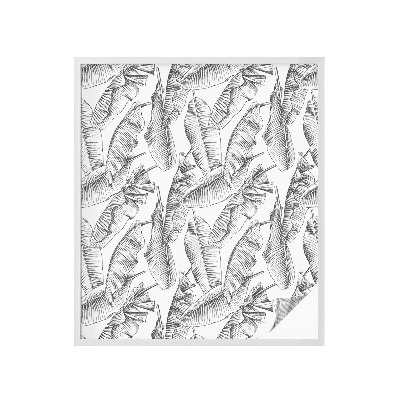 Pellicola per vetri privacy Foglie tropicali