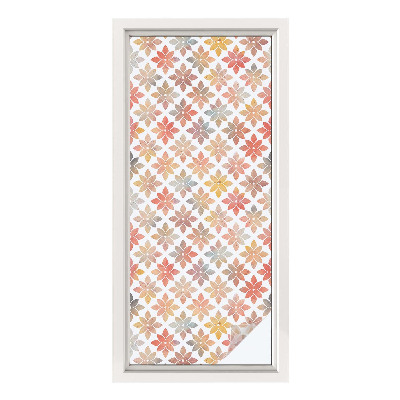 Pellicola per vetri effetto ghiaccio colorato Bellezza floreale