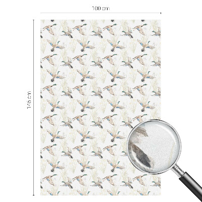 Pellicola decorativa per vetri Natura degli uccelli