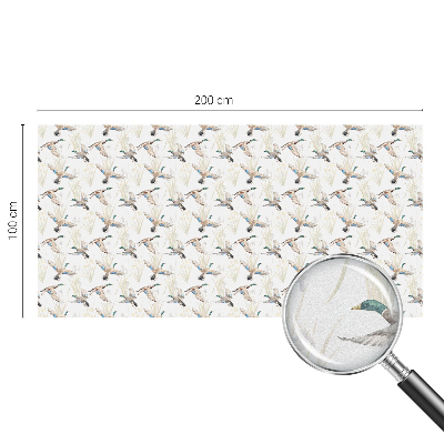Pellicola decorativa per vetri Natura degli uccelli