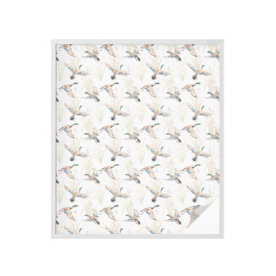 Pellicola decorativa per vetri Natura degli uccelli