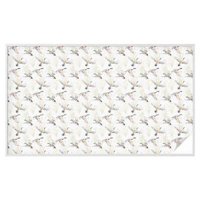 Pellicola decorativa per vetri Natura degli uccelli