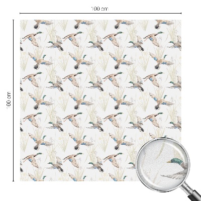 Pellicola decorativa per vetri Natura degli uccelli