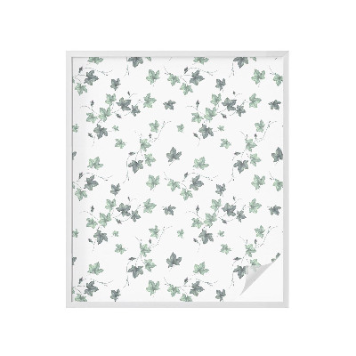 Pellicola per vetri privacy Vite verde