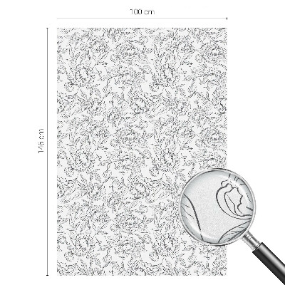 Pellicola decorativa per vetri Motivo floreale