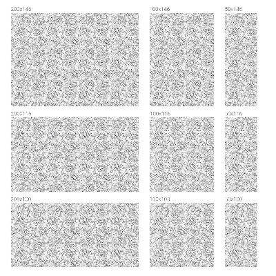 Pellicola decorativa per vetri Motivo floreale