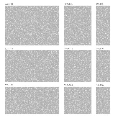 Pellicola per vetri privacy Eleganza frondosa