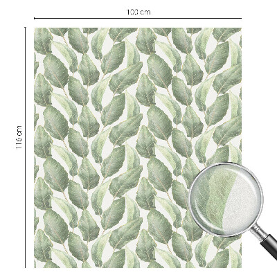 Pellicola per vetri effetto ghiaccio colorato Foglie verdi