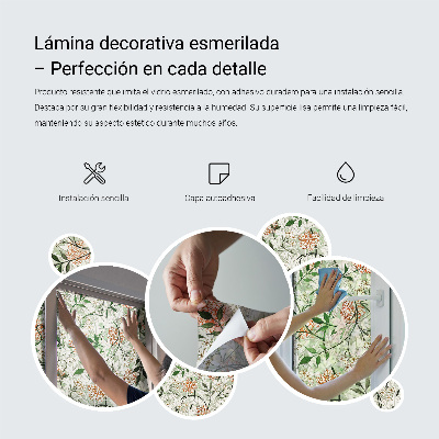 Pellicola decorativa per vetri Simmetria vegetale