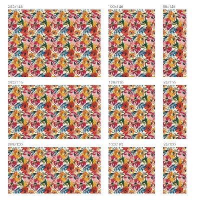 Pellicola per vetri effetto vetrata Esplosione di fiori