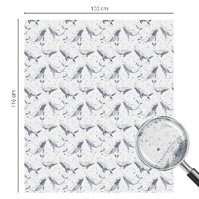 Pellicola decorativa per vetri Creature marine