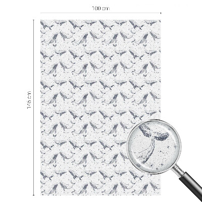 Pellicola decorativa per vetri Creature marine