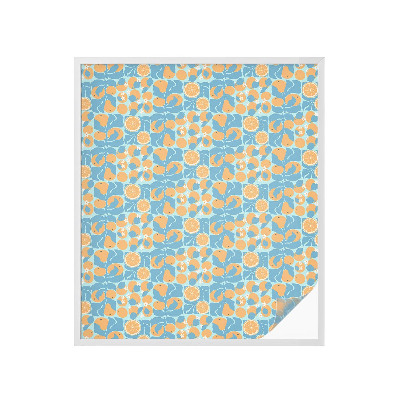 Pellicola decorativa per vetri Agrumi di pesce