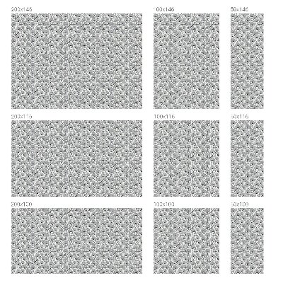 Pellicola per vetri effetto vetrata Motivo botanico