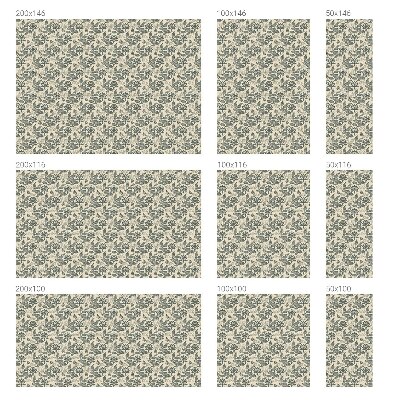 Pellicola decorativa per vetri modello orientale