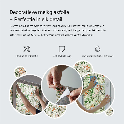 Pellicola decorativa per vetri modello orientale