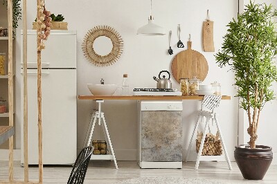 Pannello magnetico per lavastoviglie Cemento sporco
