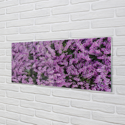 Quadro su vetro acrilico Fiori viola