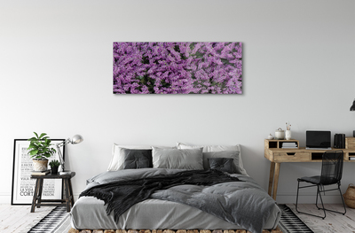 Quadro su vetro acrilico Fiori viola