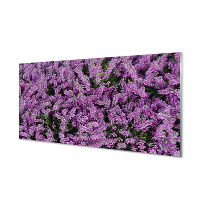 Quadro su vetro acrilico Fiori viola