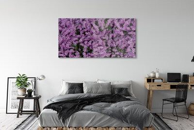 Quadro su vetro acrilico Fiori viola