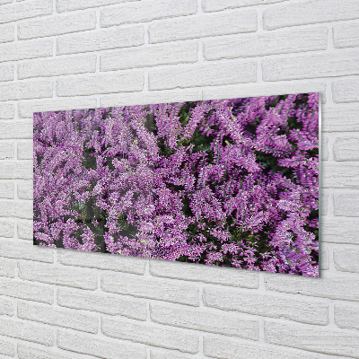 Quadro su vetro acrilico Fiori viola