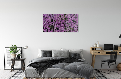 Quadro su vetro acrilico Fiori viola