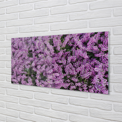 Quadro su vetro acrilico Fiori viola