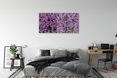 Quadro su vetro acrilico Fiori viola