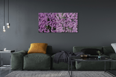 Quadro su vetro acrilico Fiori viola