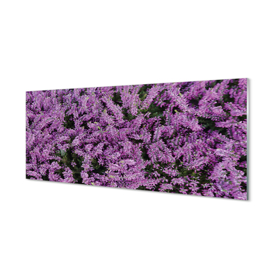 Quadro su vetro acrilico Fiori viola